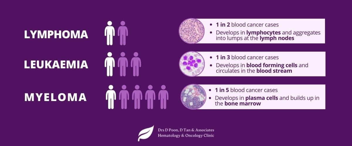 Types of blood cancer: Lymphoma vs. Leukaemia vs. Myeloma - A comparison